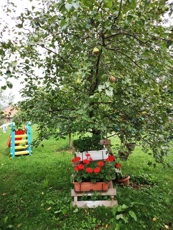 Family Apartment With Garden Sarajevo Exterior foto