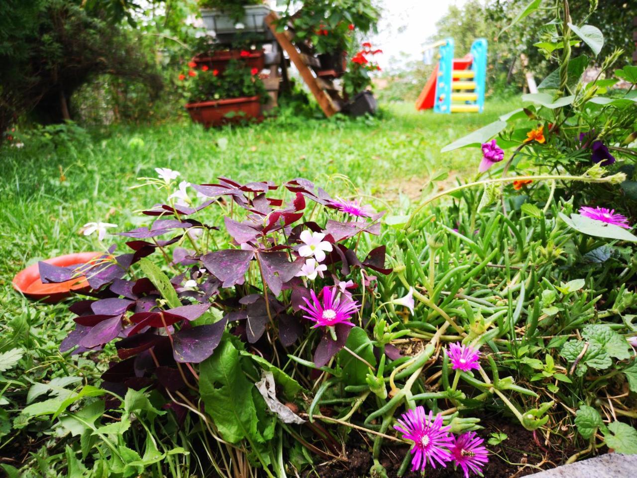 Family Apartment With Garden Sarajevo Exterior foto