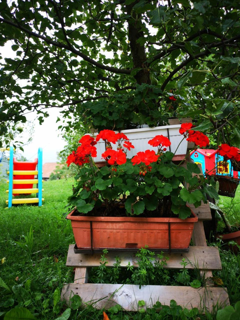 Family Apartment With Garden Sarajevo Exterior foto