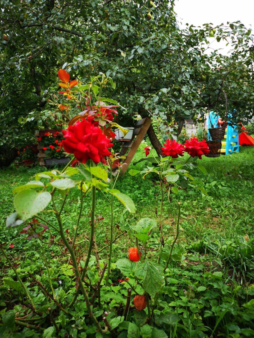 Family Apartment With Garden Sarajevo Exterior foto