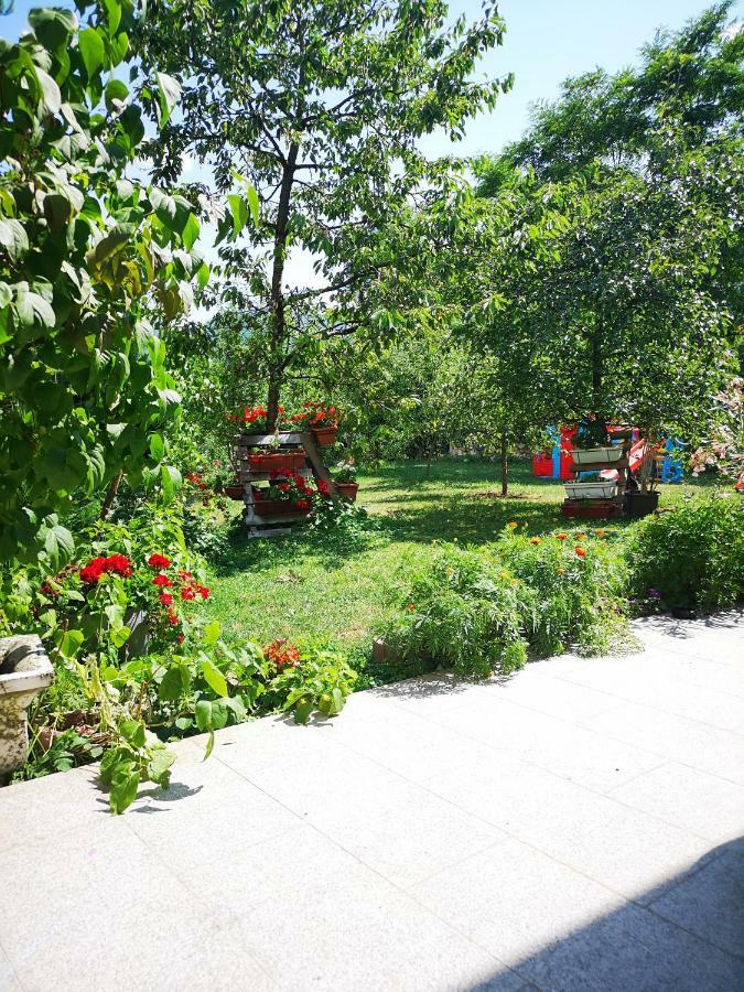 Family Apartment With Garden Sarajevo Exterior foto